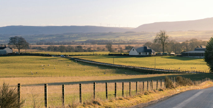 A rural road and farmhouse in the Stirlingshire countryside