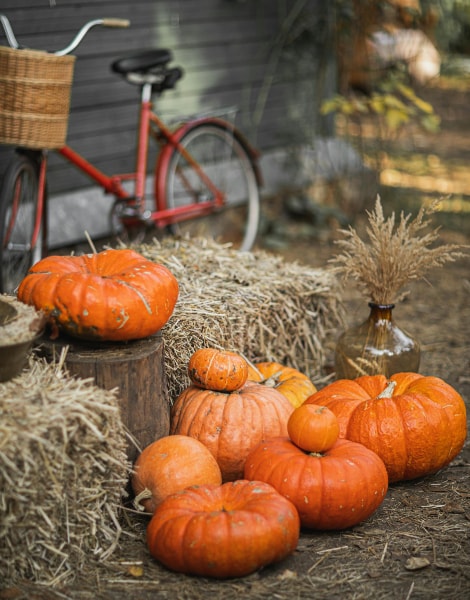 Pumpkins